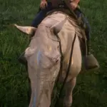 Change the appearance of the Missouri Foxtrotter to that of a Buell without the pink nose (wet effect) V1.0