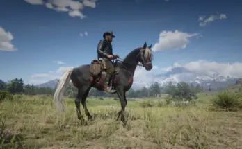 Arabian Missouri Fox Trotter Seal Brown V1.0