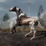 Califax (Halloween Horse 2025) V1.0