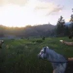 Rededrunk's Factions