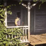 Rededrunk's Factions