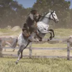 Gold Ship the racehorse