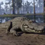 HD Gators V1.0