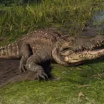 HD Gators V1.0