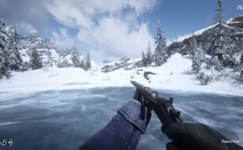 Increased FOV and Aiming FOV