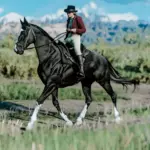 Space Cowgirl's Thoroughbred Pack V1.0