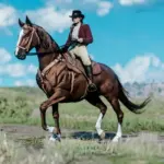 Space Cowgirl's Thoroughbred Pack V1.0