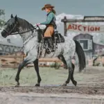 Space Cowgirl's Dapples Pack V1.0