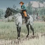 Space Cowgirl's Dapples Pack V1.0