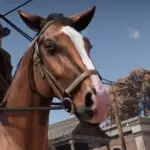 Horse Eye Wrinkle Removal V1.0