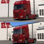 Lumcat Rail & Road Logistic GmbH Skins for DAF NGD/XD