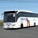 Canakkale Truva Coating for Tourismo 16 % 16 RELAX v1.0