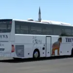 Canakkale Truva Coating for Tourismo 16 % 16 RELAX v1.0