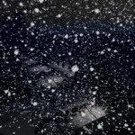 West Coast USA – Winter Storm Edition v1.0 0.38.x