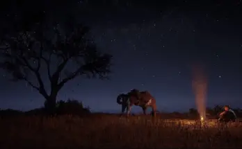 Better Nights Vanilla Days