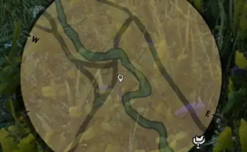 Minimap Zoom Out