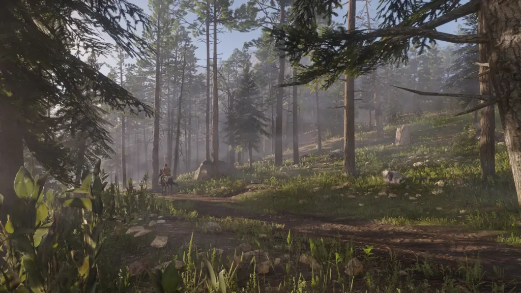 Natural Light Reworked