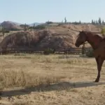 Ridgewood Horse Fence5
