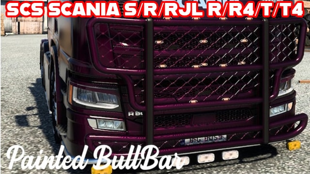 mod_69b613c43e677_Painted-Bull-Bar.jpg
