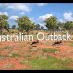 mod_69c0a7719e81f_Australian-Outback-Map.jpg