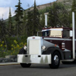 mod_6a05aa9e1e4c5_pete-350-2.jpg