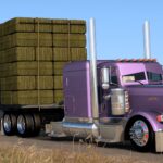 mod_6a0bc392d0a80_Peterbilt-389-Custom-Mexa-Base-3.jpg