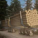 mod_6a4e08795513a_Southern-Logging-Trailers-2.jpg