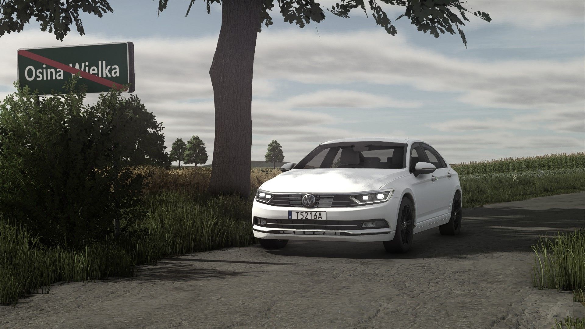 mod_6a9151ab6507d_volkswagen-passat-v1.0.0.5-1.jpg