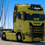 mod_6a91632f496da_pikachu1.png
