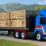 mod_6a9cbe3638553_roman_diesel-1.jpg