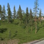 Grass_Tree_Improved_ETS