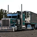 Pizz 389 Peterbilt Megapack v1.61